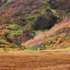 火打山の秋