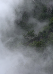 霧の景