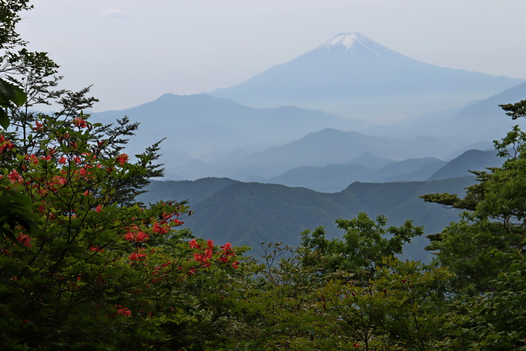 富士三景（Ⅰ）