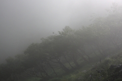 霹靂去りて　三景　（そのⅡ）