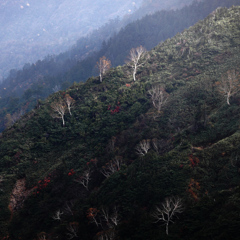 荒沢岳にて