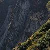 岩壁初秋、その二