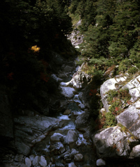 かつての登山道　一の俣谷（そのⅡ）