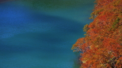 五色沼の秋
