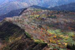 茶臼山の秋