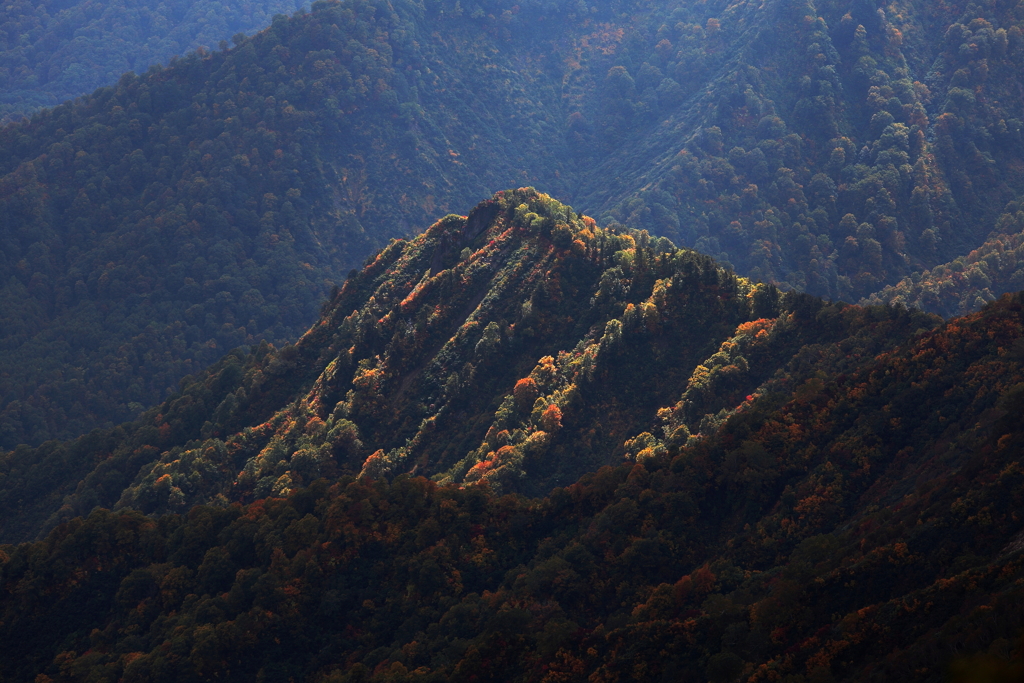 火打山の秋景色