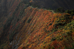 錦秋の尾根を行く