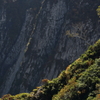 岩壁初秋