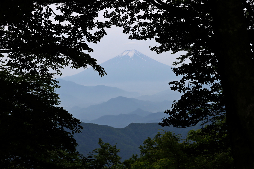 富士三景（Ⅲ）