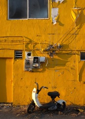 黄の壁