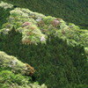 山登り始めました