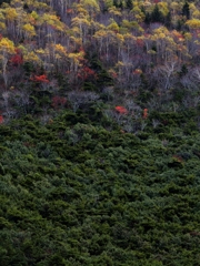 黒姫山の印象　（Ⅰ/Ⅲ）