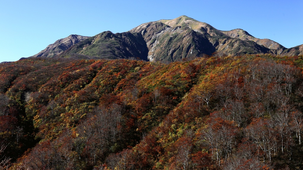 越後駒ヶ岳　錦秋