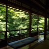 京都　瑠璃光院２