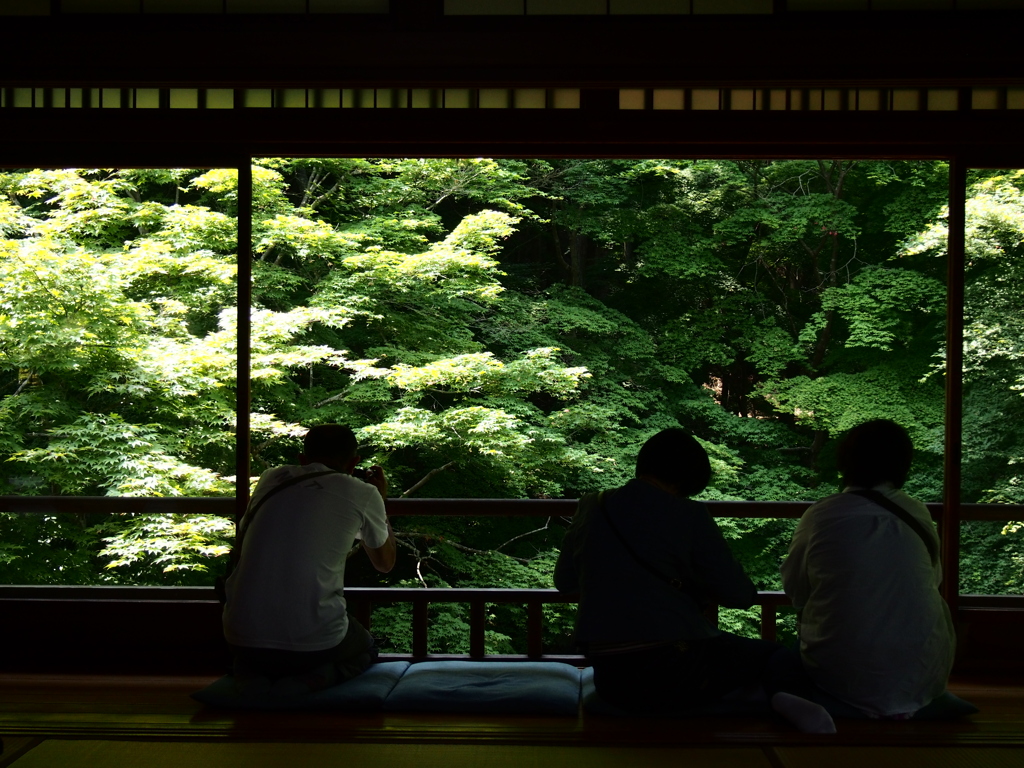 京都　瑠璃光院