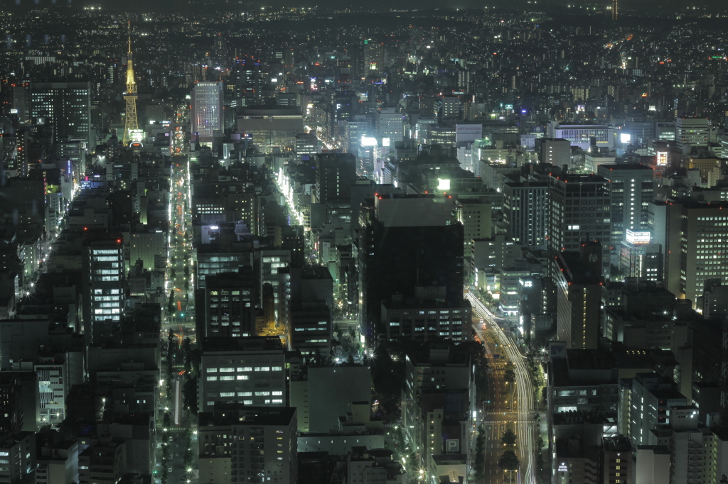 夜景～テレビ塔を望む～