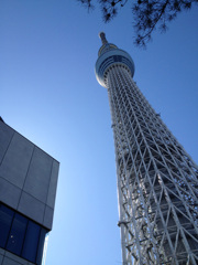 スカイツリー１