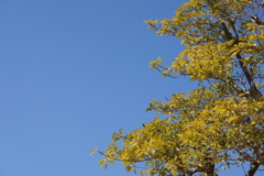 DSC00052