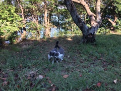 仲良し親子