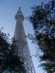 スカイツリー２