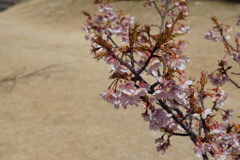 DSC00048