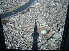 スカイツリーの影