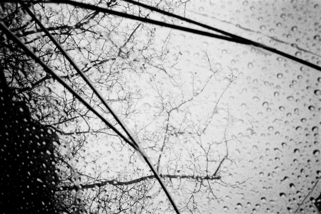 雨の日 ＃2
