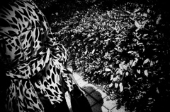Untitled #3