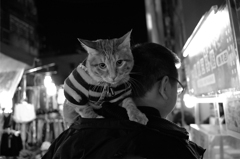 台湾 street #58