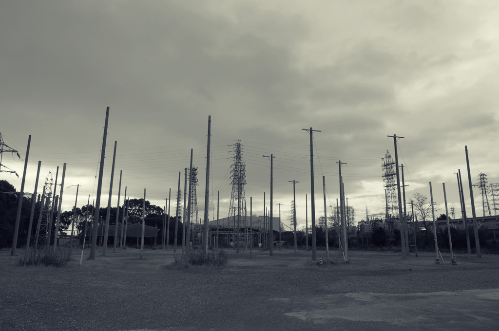 電柱の森