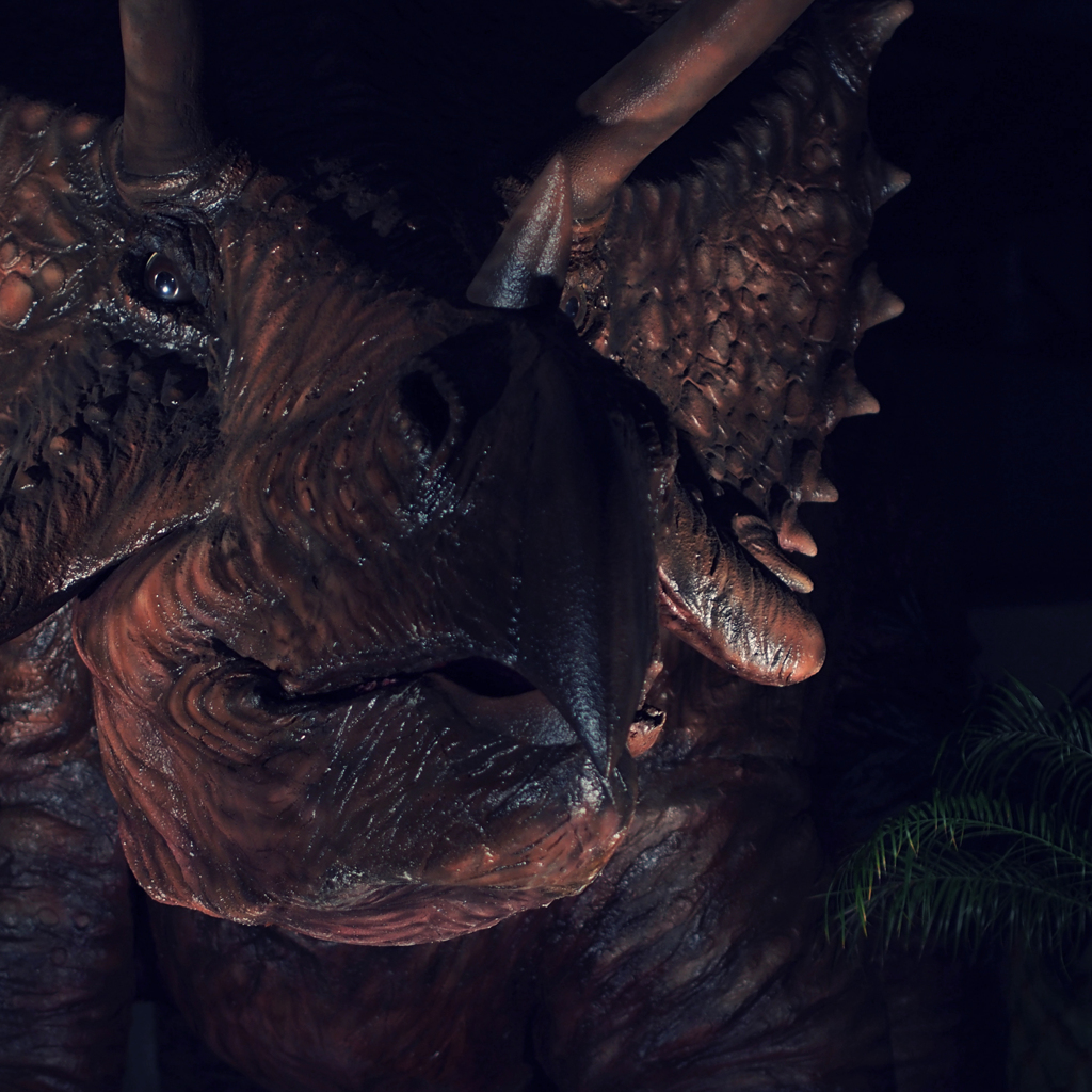 Triceratops #2