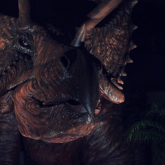 Triceratops #2