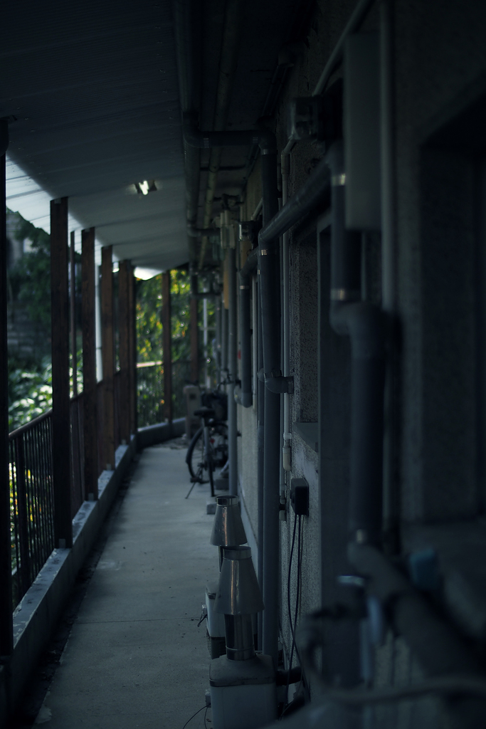 京都にて #4