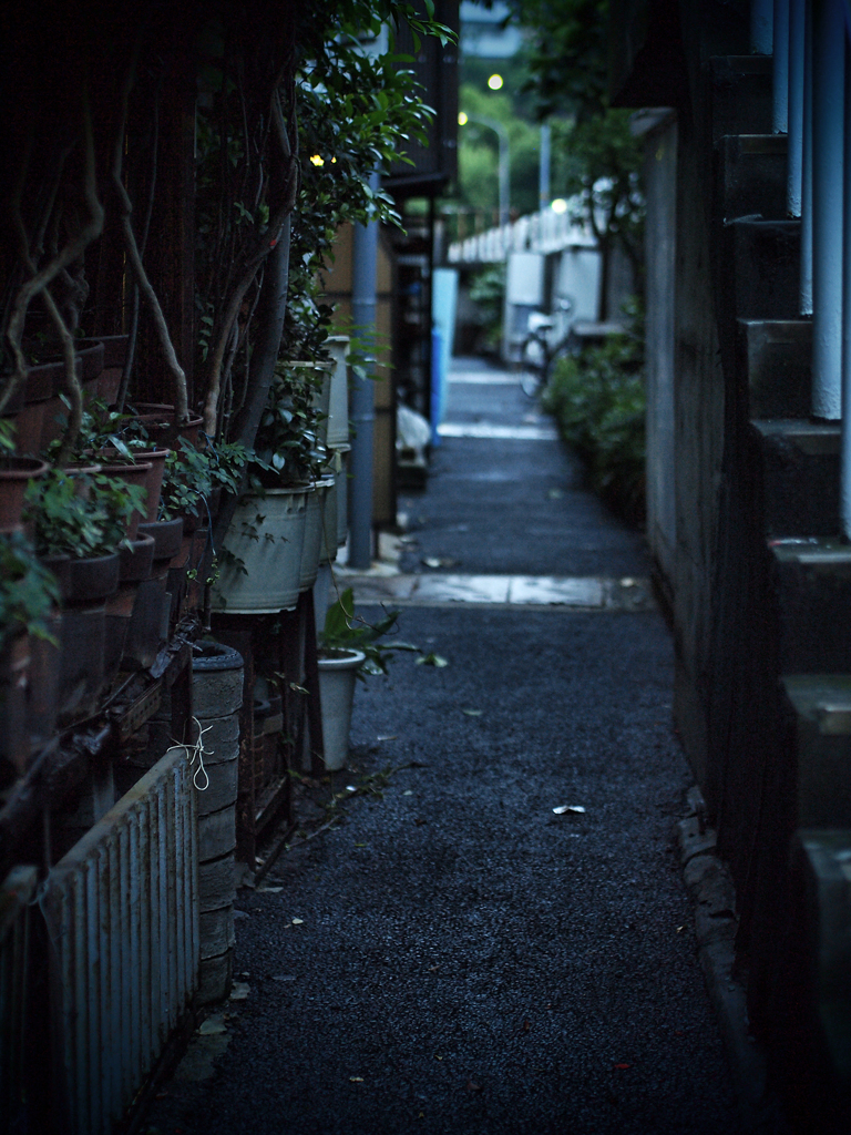 夜を待つ