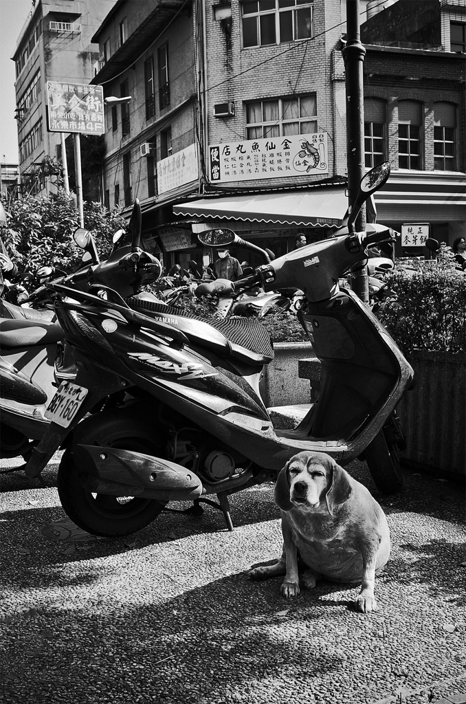台湾 street #72