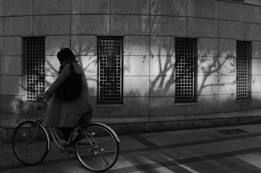 Screen