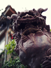 Naha walk #16