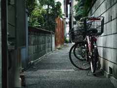 Nagata #18