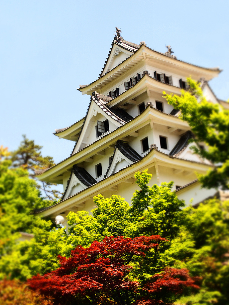 郡上八幡城