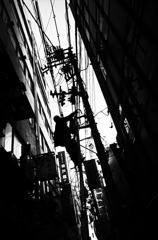 Climber