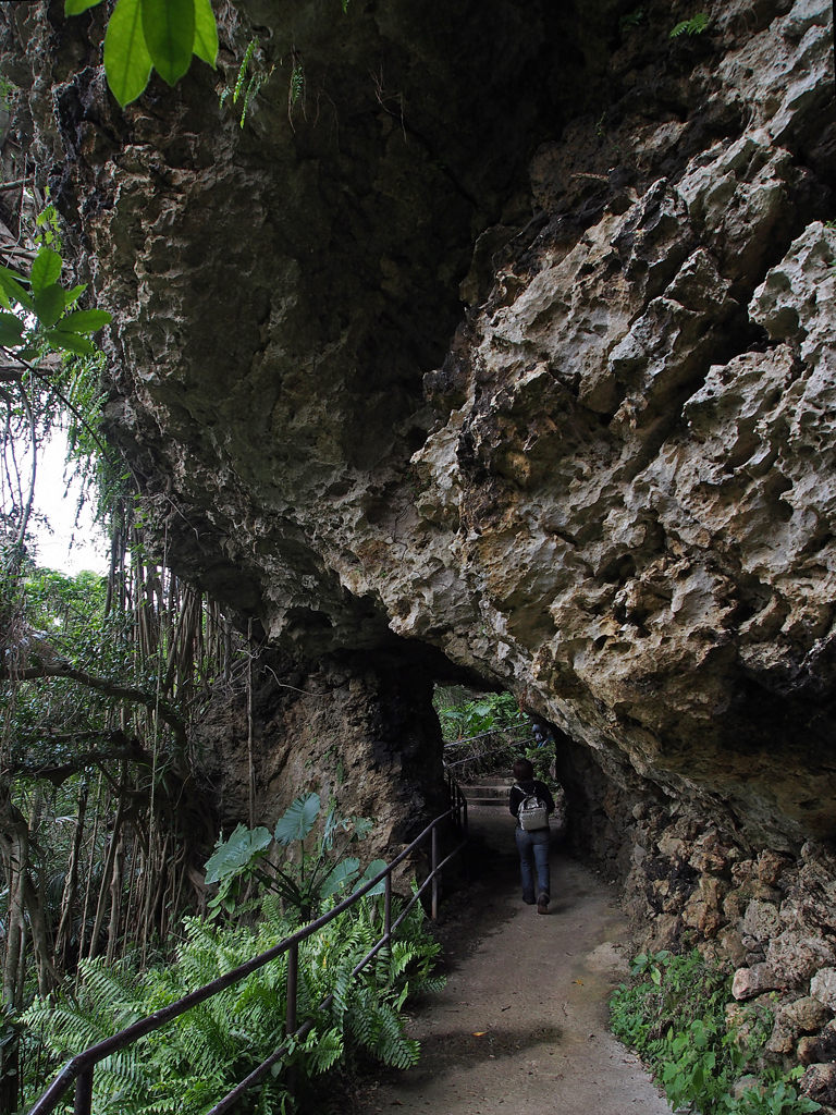 Valley of GANGALA #8