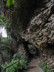 Valley of GANGALA #8