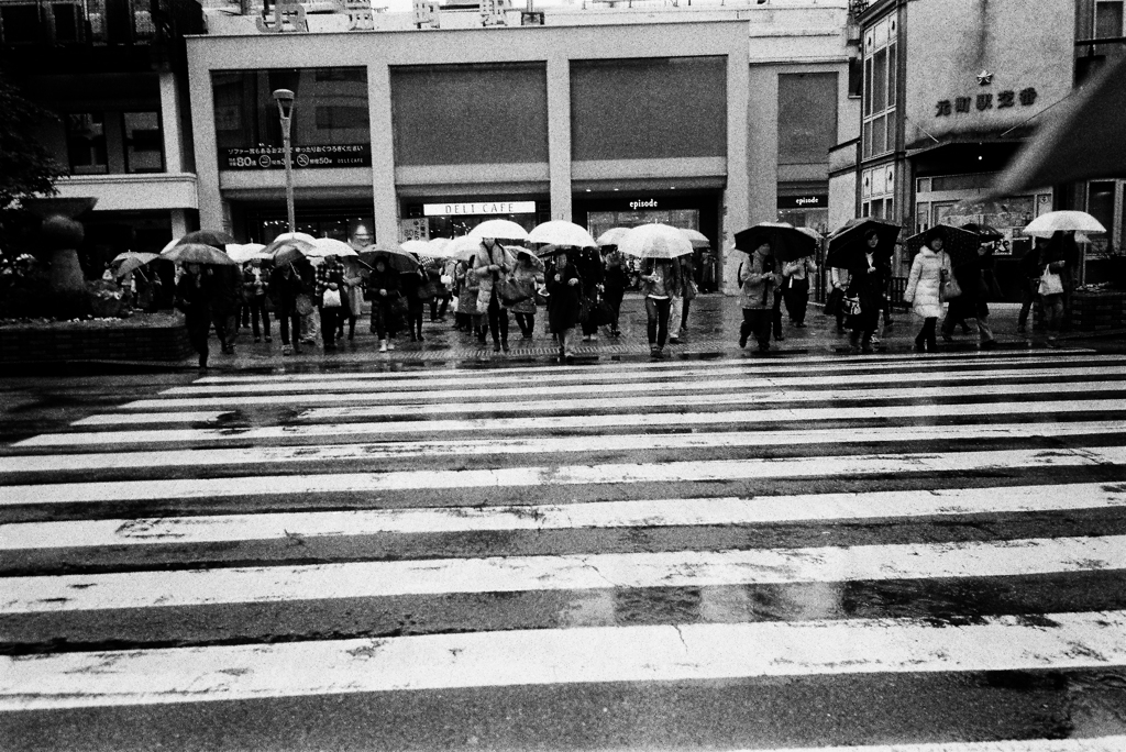 雨の日 ＃5