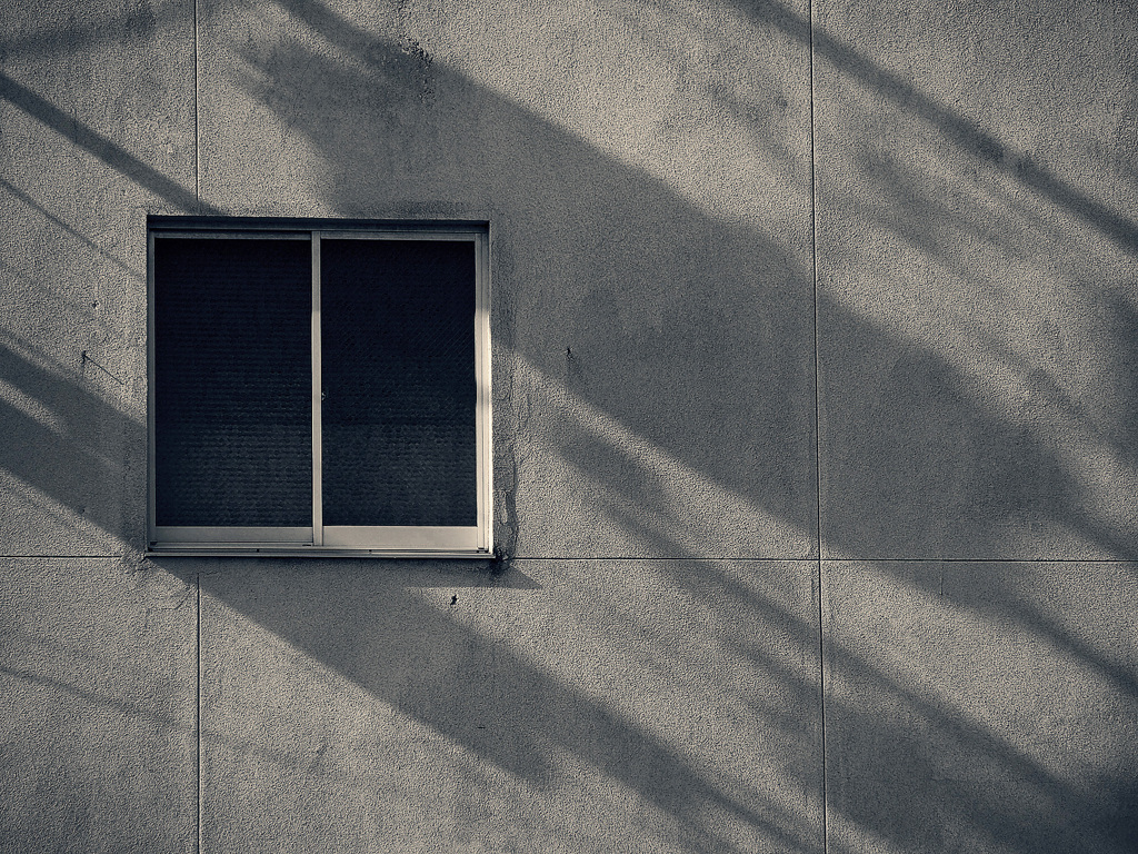 Shadow