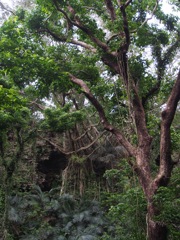 Valley of GANGALA #2