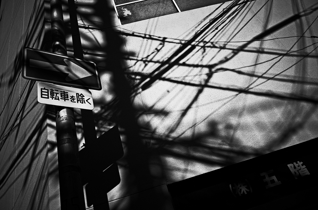 日本橋 #9