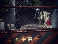 大阪路地裏散歩2 #8