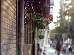 Planter