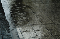 モノトーンの雨