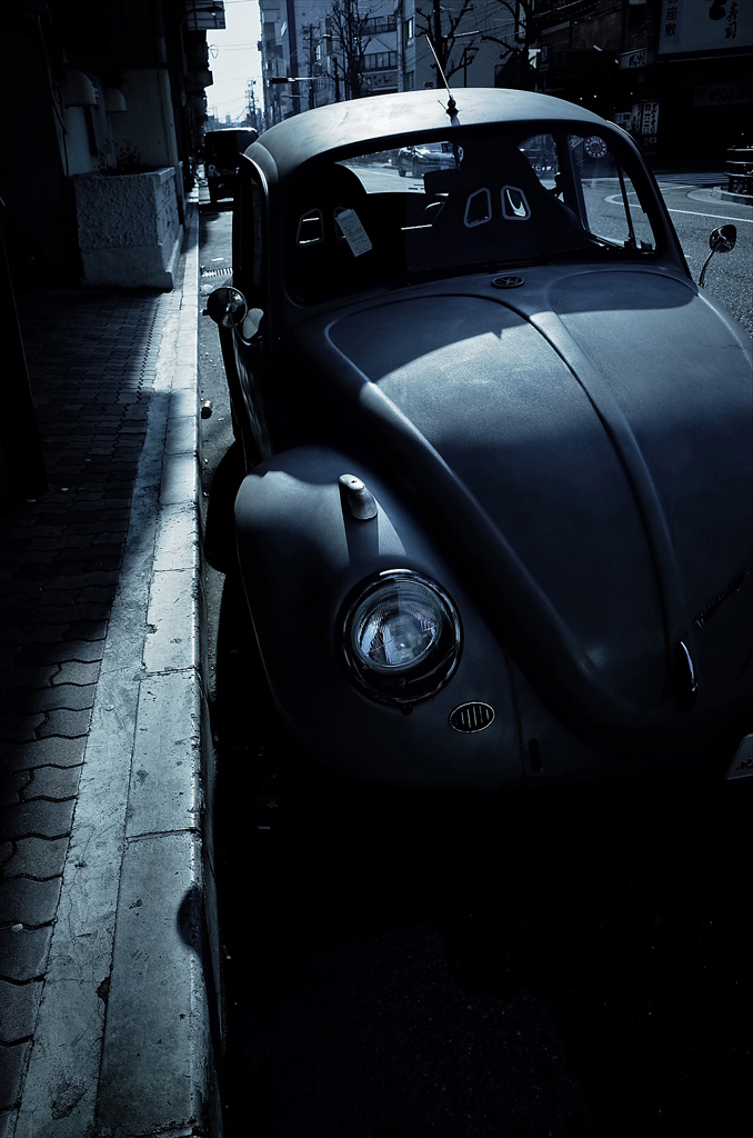 Beetle